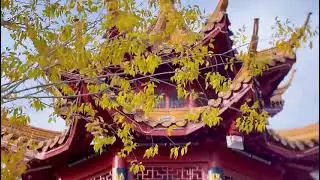 The four seasons of Kangbashi, Ordos City, Inner Mongolia Autonomous Region