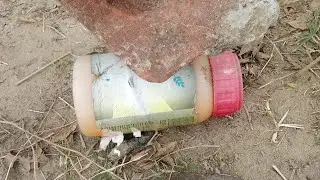 Stone vs Plastic Bottle