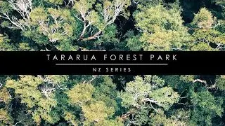 TARARUA FOREST PARK // NZ Series