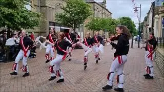 Fools Gambit Morris
