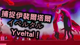 【寶可夢劍盾 冠之雪原】極巨大冒險 　捕捉伊裴爾塔爾！   イベルタル Yveltal！  　捕捉大量傳說的寶可夢！　  DLC擴充票！   Pokemon Sword& Shield！