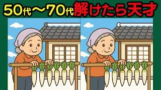 【間違い探し】解けたら爽快！脳みそ燃焼チャレンジ！　#124