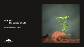 rAin (MU) - The Source Of Life (Original Mix)