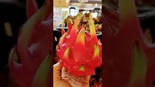 BIG Dragon Fruit at Wallace Ranch #organic #Dragonfruit
