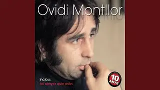 El Diluvi