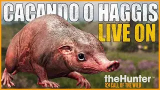 🔴LIVE ON  - MAIS UM DIA CAÇANDO O HAGGIS SELVAGEM -   !pix !BONE