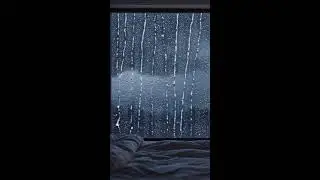 Heavy Rain & Thunder Sounds 🌙 | Self Recorded | Night Sleep ASMR Live