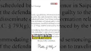 Julian Assange Walks Free After Plea Deal With U.S In Wikileaks Espionage Case | N18S | #shorts