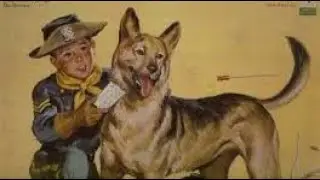 1934: The Law Of The Wild - 9/12: Robbers' Roost (Bob Custer & Lucille Brown)