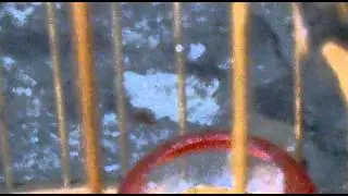 121220110052