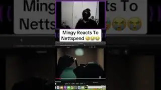 Mingy Reacts to Nettspend Twitch : TheMingusEffect