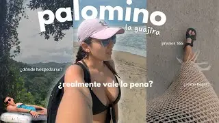 Palomino, la guajira 2024 - ¿realmente vale la pena ir?