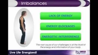 Amega Worldwide Inc - PRODUCT PREVIEW AND REVIEW