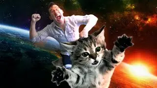 The Cat That Got The Milk