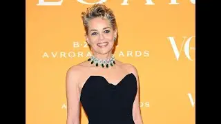 Sharon Stone dissar &rdquo;Basic Instinct&rdquo; rebooten &rdquo;Lycka fing till!&rdquo;