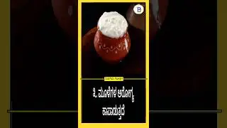 Unbelievable Health Benefits of Including Curd in Your Diet! | iTech Bright Yuga