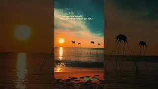 Sun Set beach #sunsetbeach #sunsetbeahphuquoc #tourphuquoc #travelvietnam #wowtourist #dulichcungwow