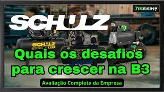 Schulz. Vale a Pena Investir na Schulz - SHUL4