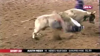 Holy Moly bucks Cody Whitney - 06 PBR Phoenix