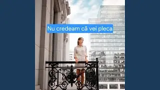 Nu credeam că vei pleca