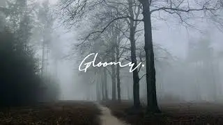 Foggy Day In The  Forest  | chill lofi beats