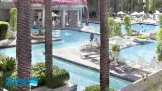 Shasta Pools and Spas Commercial Pool Builders | Pool Builder Marketing | Call Us (281) 569-4370