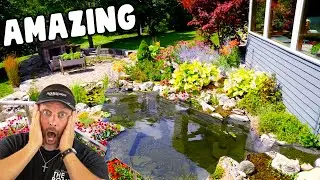 Backyard WOW Water feature. Views