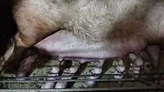 Que rico que bárbaro 😋