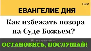 27 декабря Евангелие дня «Займи последнее место». Как избежать позора на Суде Божьем? (Лк. 14)