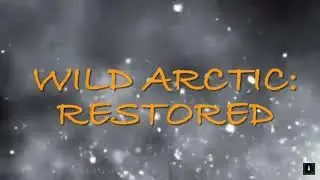 Wild Arctic: Restored