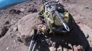 My Hiking Partner