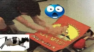 cut and unassorted daily james movie clips #1