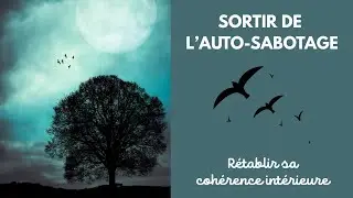 Sortir de l'auto-sabotage - Libération émotionnelle