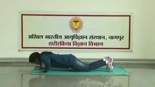 Muscular Endurance Modified Push  Ups  For Female