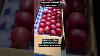 Fresh A Grade Kahsmiri Gala 🍎 Apple Available Call Us For Wholesale Business All Over India Supply