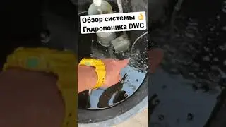 Бюджетная  и Производительная  УСТАНОВКА Выращивания Зелени Методом Гидропоника DWC бизнес идеи