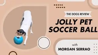 The Dogs Review: Jolly Pets Floating Soccer Ball
