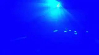 Disco light || Disco light DJ light Animation Effect Green Screen Video