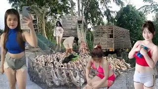 The duck journey meandered up the bridge and rushed into the car like a tsunami.