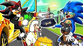 Rich Shadow Vs Poor Sonic   Rich vs Broke Pet Owners  Sonic the Hedgehog - Sonic Boom Channel