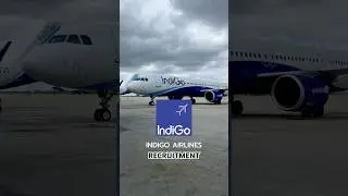 IndiGo is Hiring! Freshers Cabin Crew 🤩. Check full video in our channel! #indigohiring #cabincrew