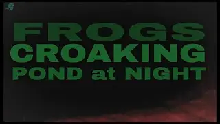 Frog Croaking Song Night Pond 1 hour #frogs #frogsong