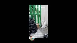 Garbage Disposal - Irvin Rey  TV is live!