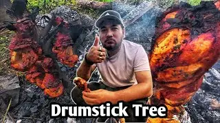 Cooking Whole Chicken Roast Under a Bucket with Delicious Chicken Leg Piece Tree
