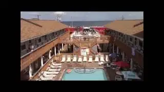 the budwiser clydesdales visit seaside heights
