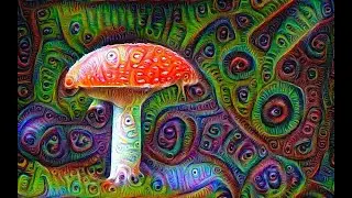 Psytrance Psychedelic [ Psycho Music ] Acid Trip ENJOY THE RIDE