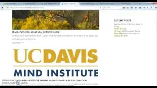 Blog sidebar Customization