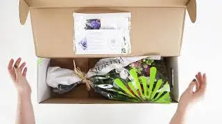 Flower Subscription Unboxing - Flowers by Flourish on uOpen