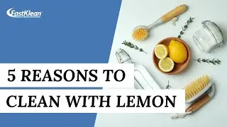 5 Reasons To CLEAN WITH LEMON | Cleaning Tips