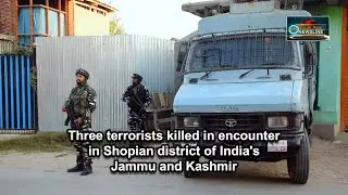 Three terrorists killed in encounter in Shopian district of India's Jammu and Kashmir